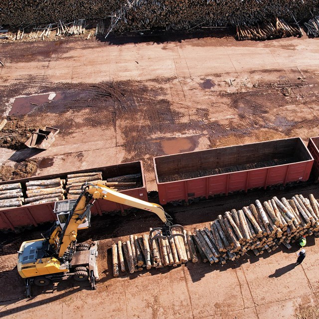 Logging